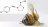 Gli effetti indesiderati dei pesticidi sulle api